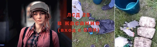 гидра Алексин